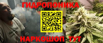 дмт Шебекино