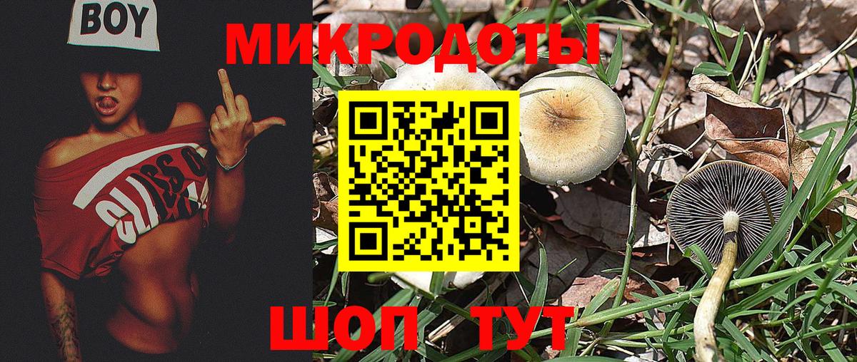 наркота  Псилоцибиновые грибы мицелий  Вход с VPN  Лянтор  Псилоцибиновые грибы GOLDEN TEACHER 